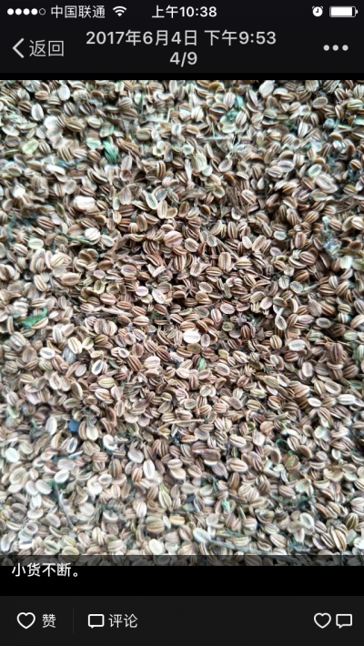 蛇床子大量农户直供