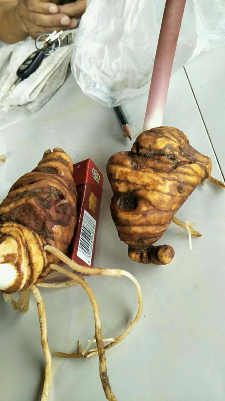 重楼