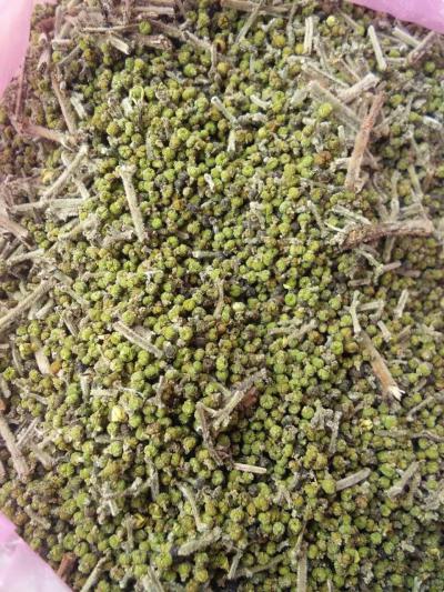 新出吴芋 吴茱萸