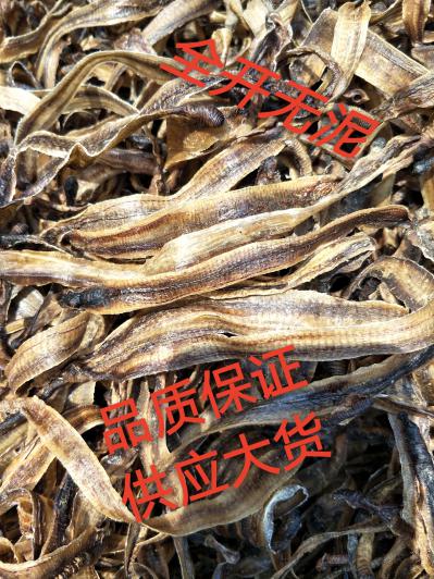 地龙，优质全开地龙