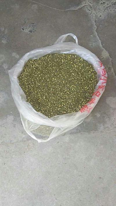 吴茱萸，吴芋