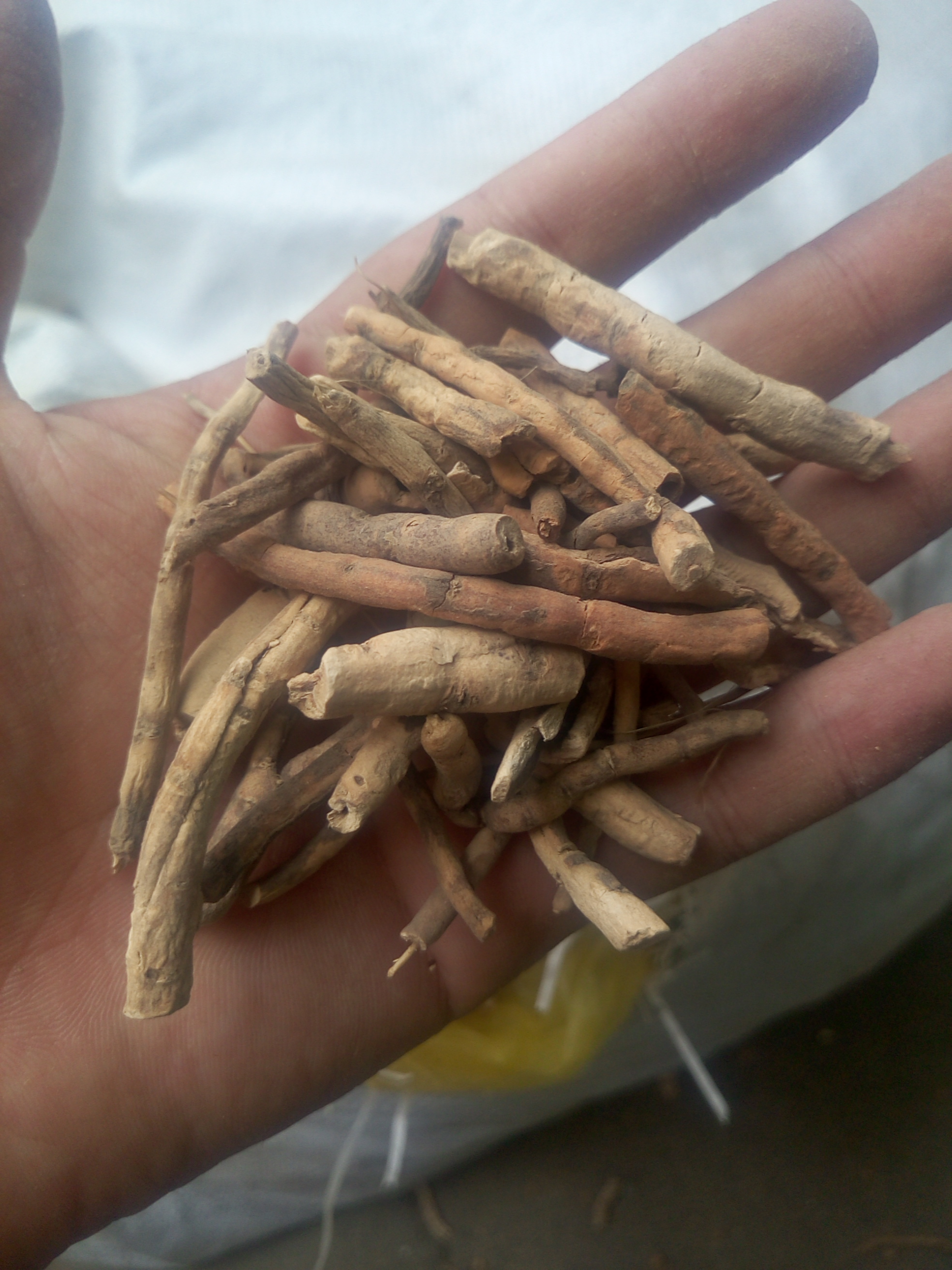 丹皮白丹皮抽芯