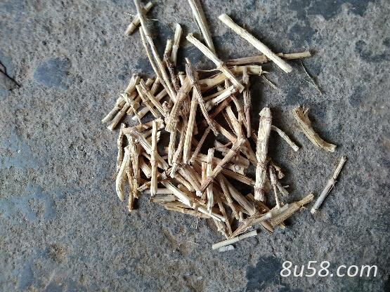 白茅根20吨