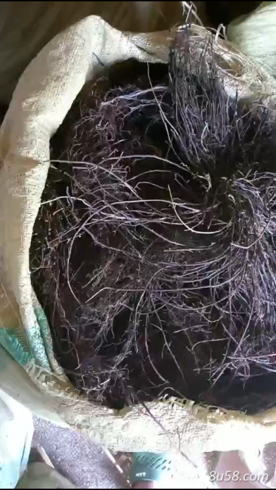 威灵仙