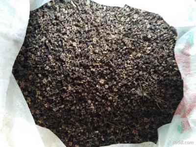 中花吴茱萸
