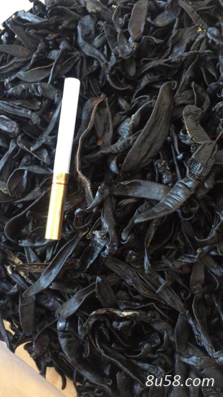 出售各种水蛭清水吊干货宽体金线水蛭干货小黑条货 出售各种水蛭清水吊干货宽体金线水蛭干货小黑条货