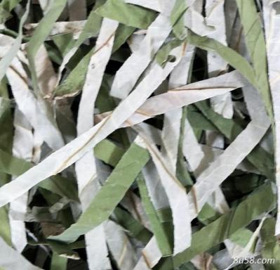 微山湖野生荷叶丝