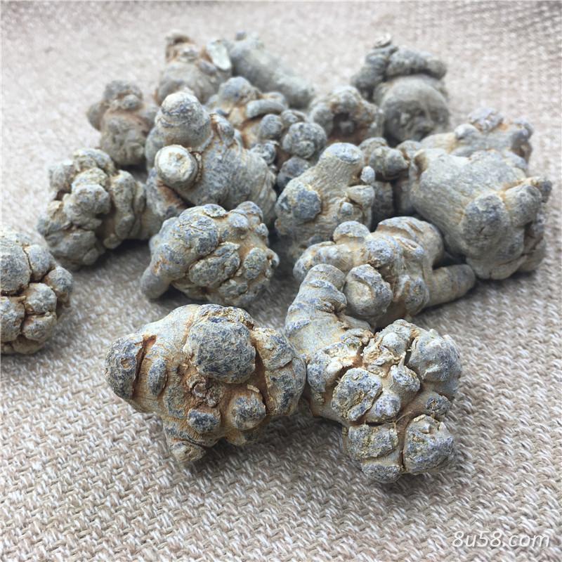 云南文山三七产地30头精选滑头洗水三七田七30头