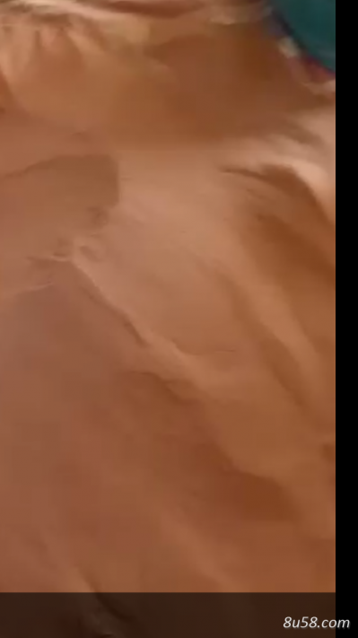 海金沙