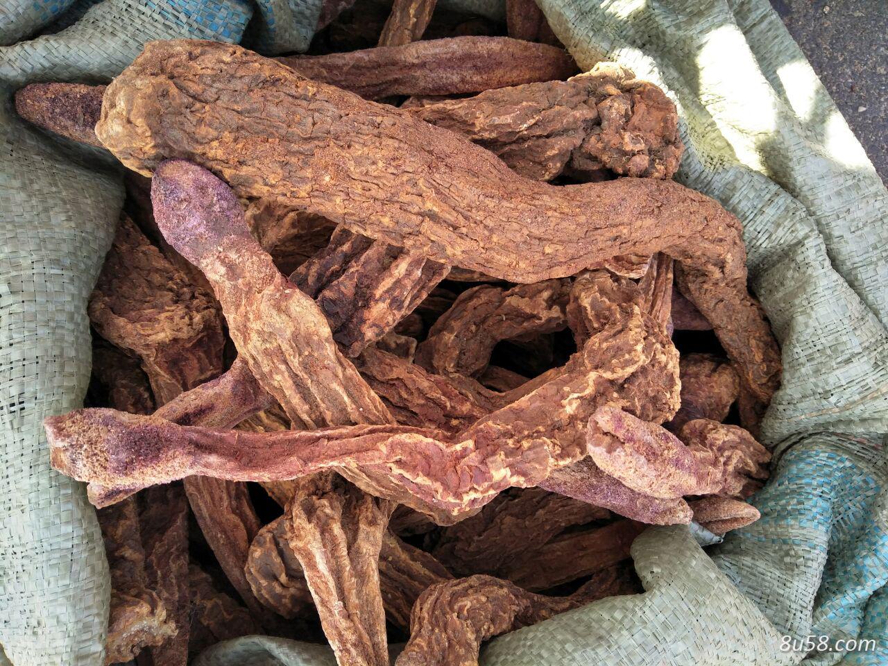 锁阳