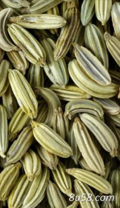 茴香出售
