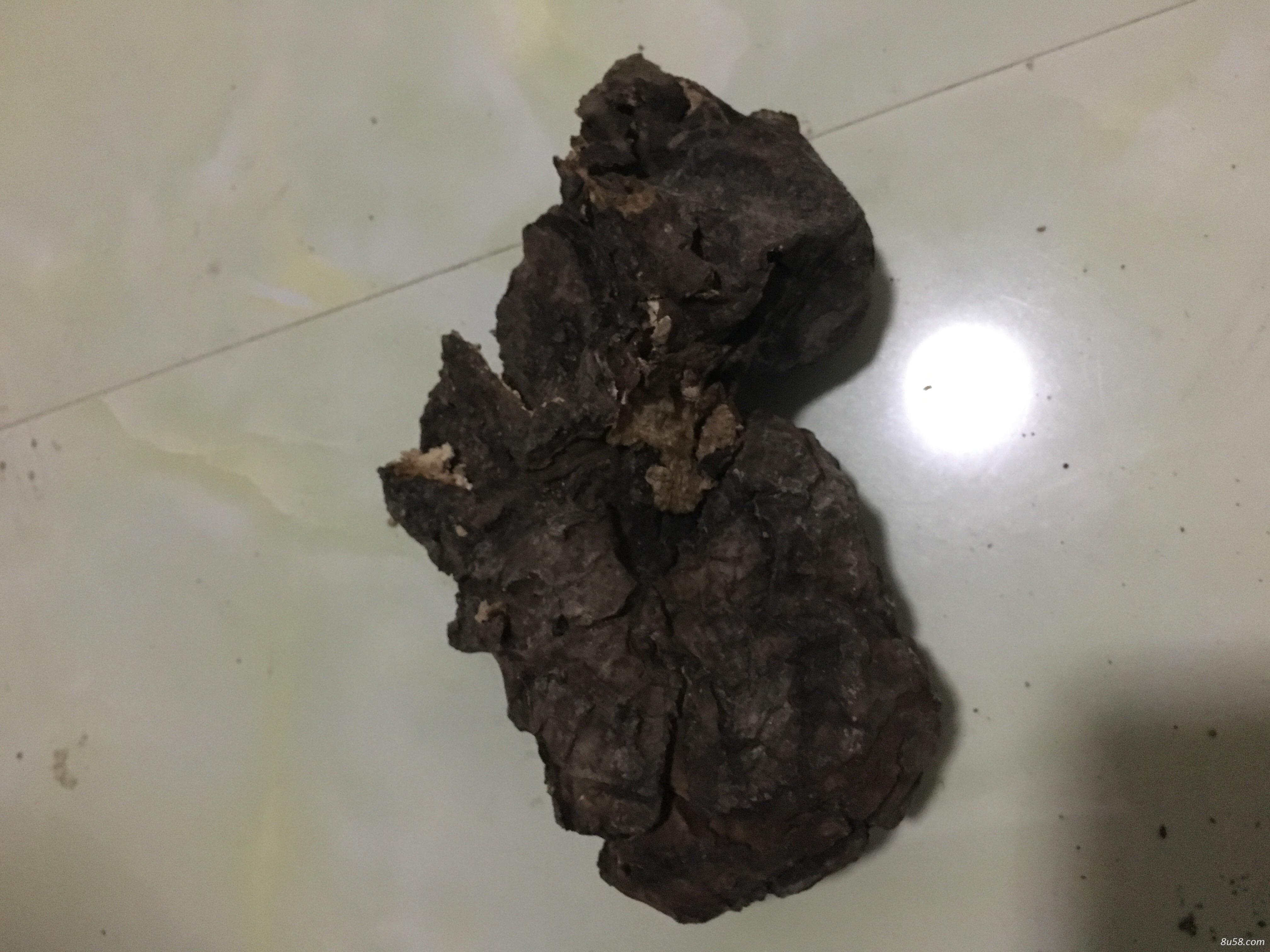 土茯苓供应