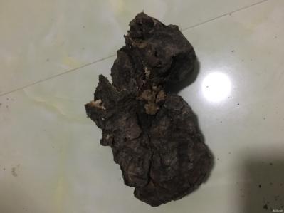 土茯苓供应