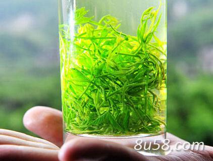 平利绞股蓝茶批发