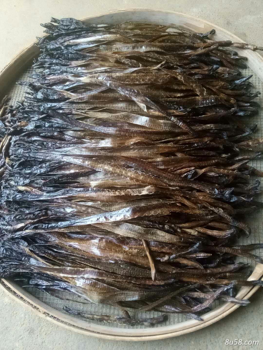 大开地龙干货源足