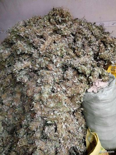 金钱草