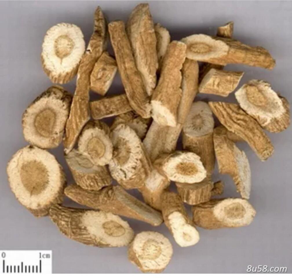大量供应板蓝根 大量供应板蓝根