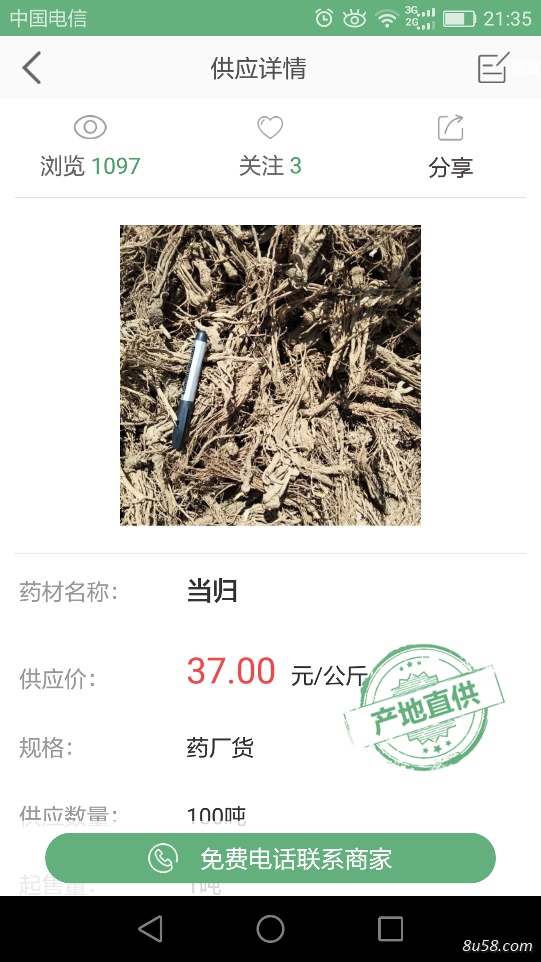 鲜当归