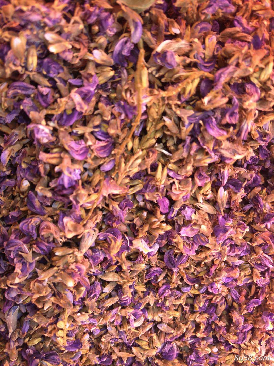 产地直销野生葛花