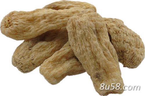 滋补药材天麻