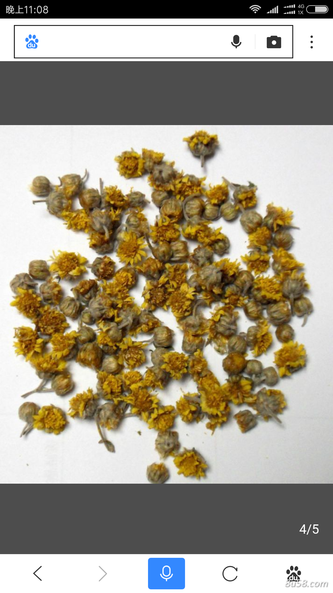 野菊花 中药材批发 散装 菊花茶 黄菊花 市场 1千克 野菊花 中药材批发 散装 菊花茶 黄菊花 市场 1千克