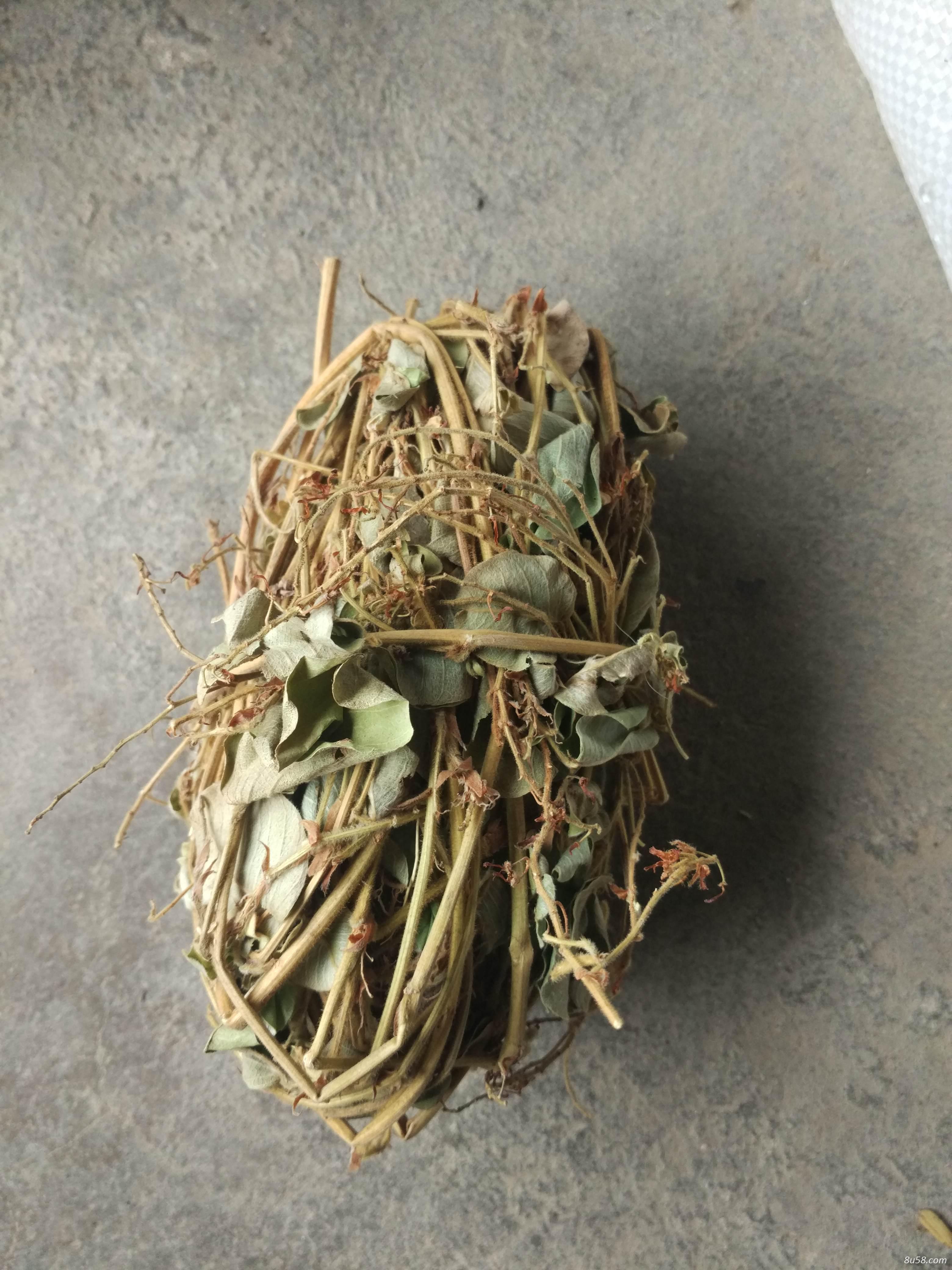 金钱草