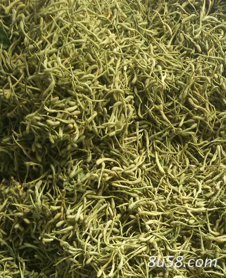 出售金银花