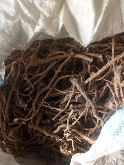 药材防风，质量好，干防风