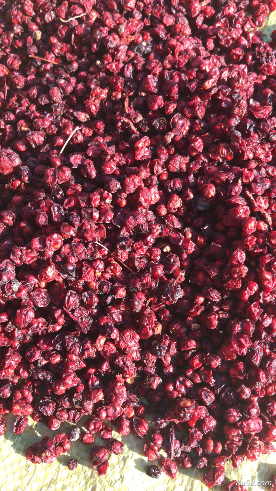 烘干北五味子12吨