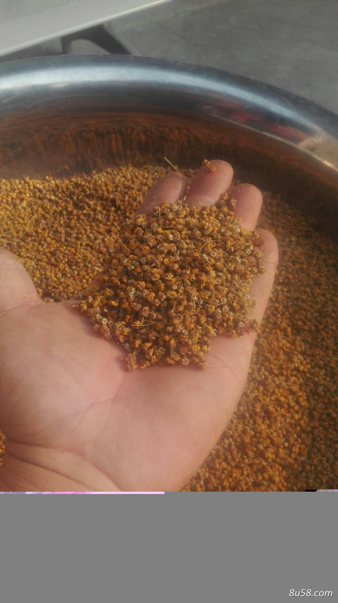 原产地野菊花 纯手工采摘,经高温蒸制,自然晒干,过筛优质颗粒 原产地野菊花 纯手工采摘,经高温蒸制,自然晒干,过筛优质颗粒