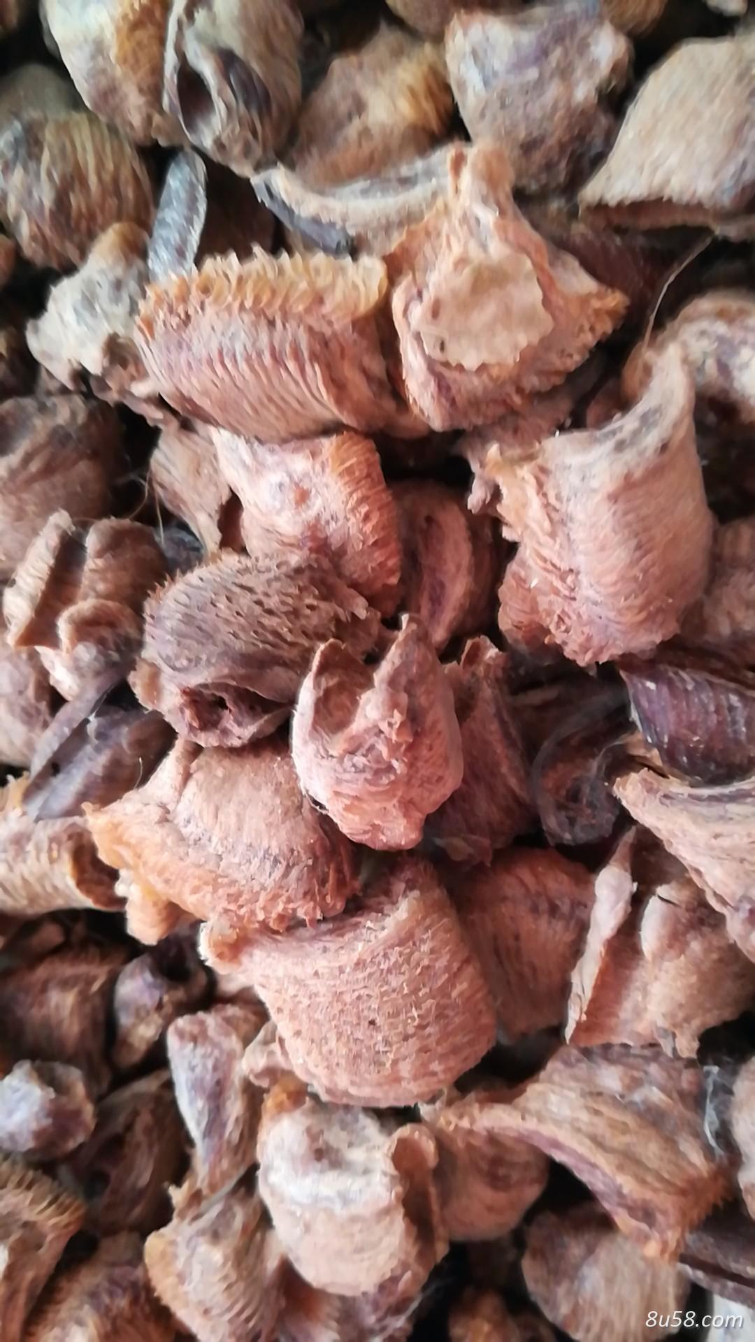 桑螵蛸