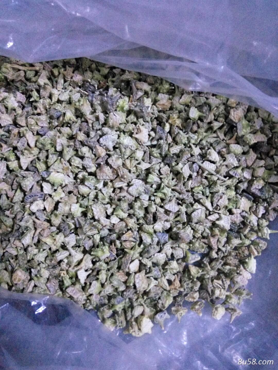 纯野生蒺藜,质量好价格优,量大,欢迎来电洽谈 纯野生蒺藜,质量好价格优,量大,欢迎来电洽谈
