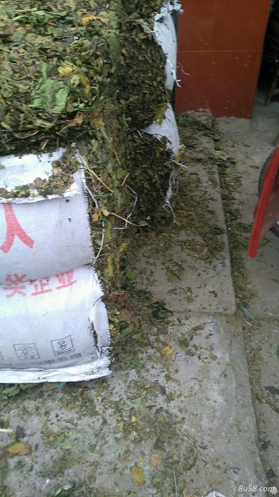青桑叶 现在有几十吨，还在打包中