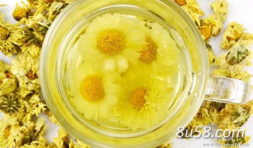 杭白菊 干净无杂质,绿色无残留 杭白菊 干净无杂质,绿色无残留