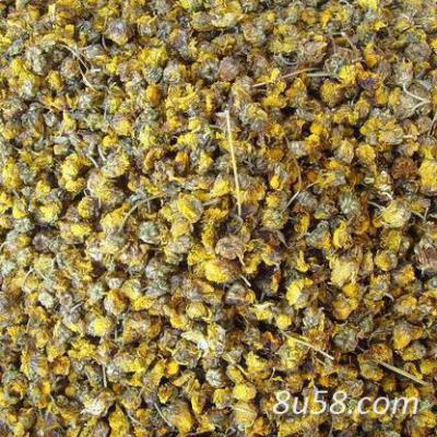 大量供应野菊花干货，高含量产地枣阳货