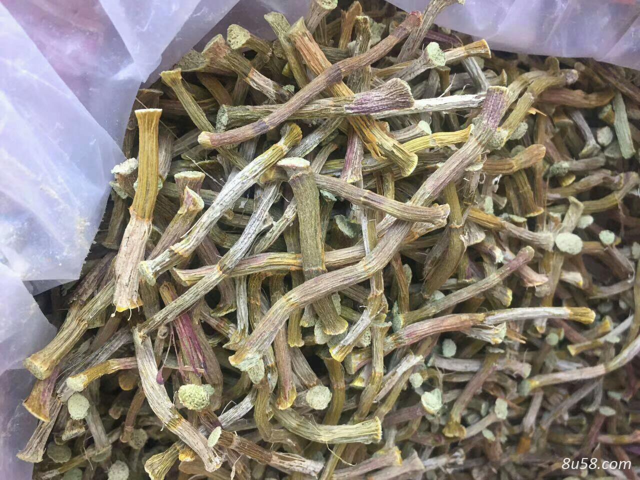 铁皮石斛干条 现剪现烤，保证新鲜