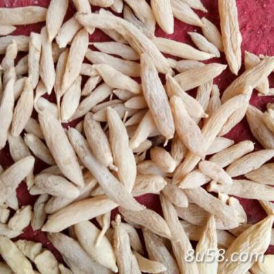 麦冬