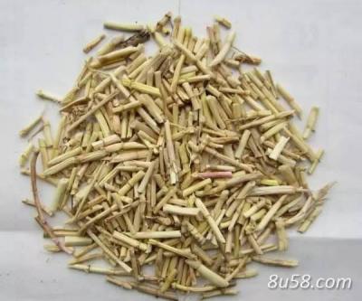 白茅根大量供应