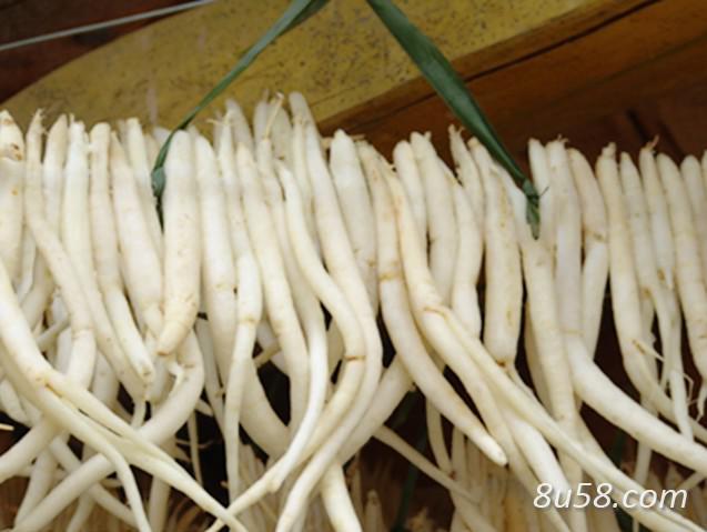 出售大量川明参 出售大量川明参
