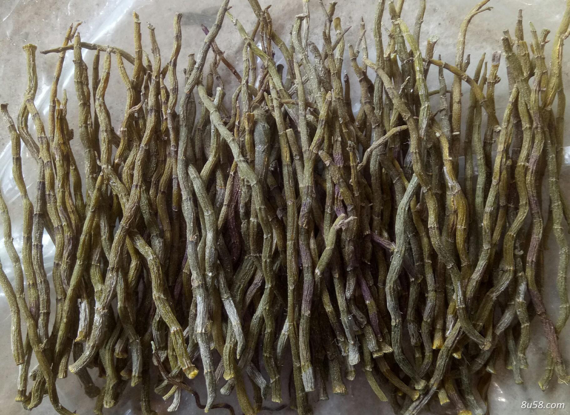 防野生铁皮石斛牙条 不打农药，不打肥料，自然生长，质量好