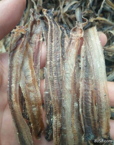常年大量出售全开地龙干货，无泥，野生 货源充足