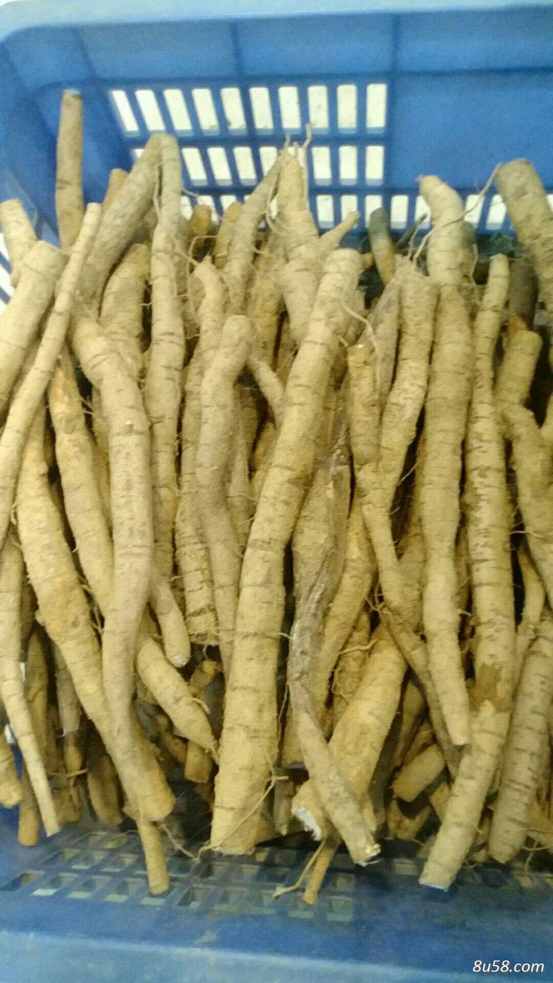 广西野生牛大力