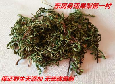 蒲公英、野生、水洗、自然晾晒、无硫磺熏蒸、药食两用