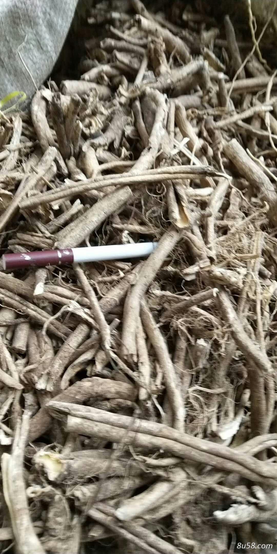 白鲜皮 白鲜皮