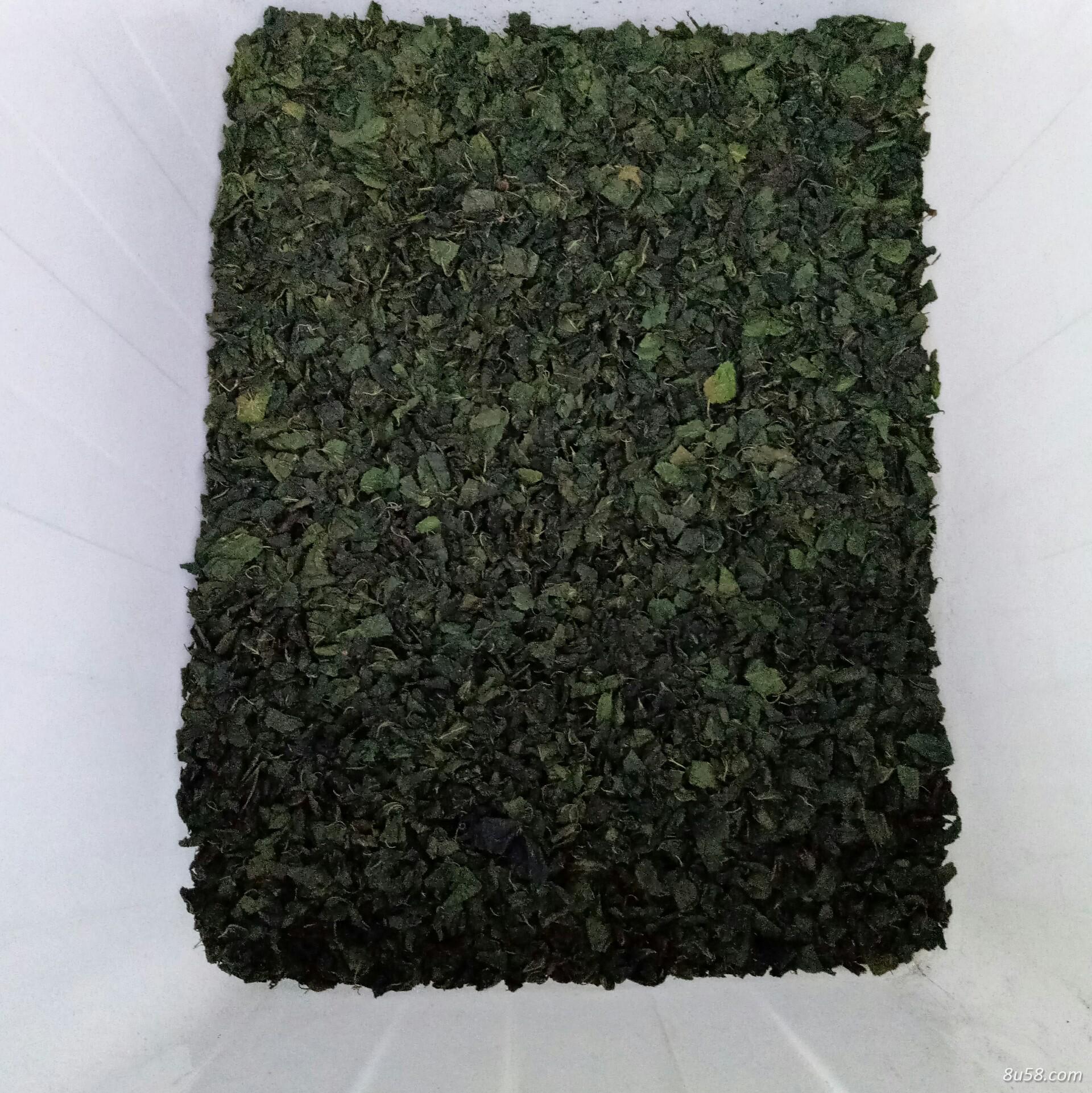 有机种植,春天嫩芽白桑叶精选,干茶,药材基地直销,品质有保障 有机种植,春天嫩芽白桑叶精选,干茶,药材基地直销,品质有保障