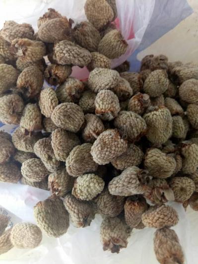 覆盆子统货出售