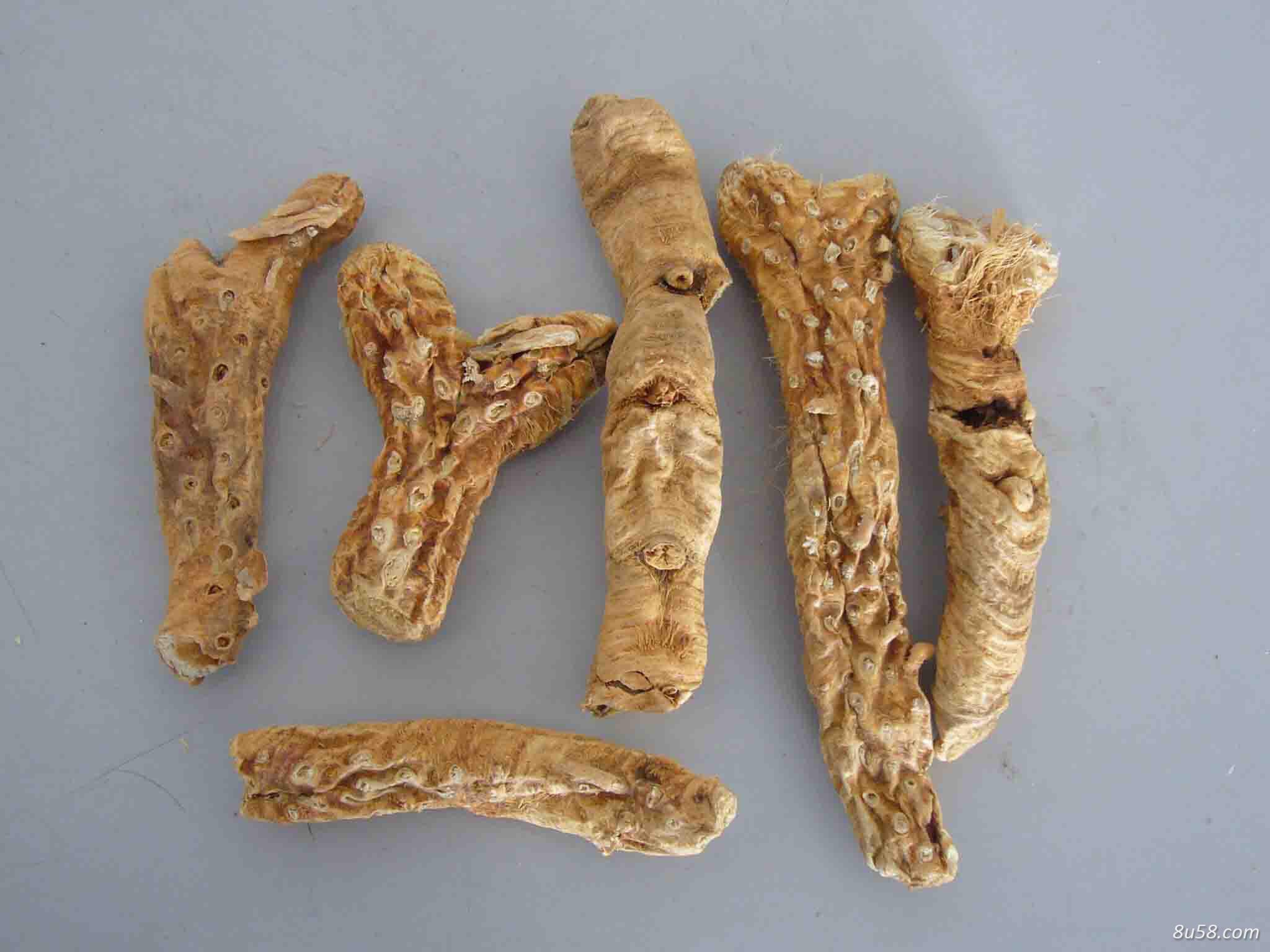 大量出售知母