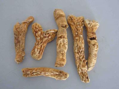 大量出售知母