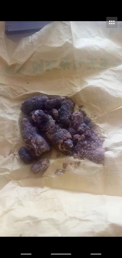 天然牛黄