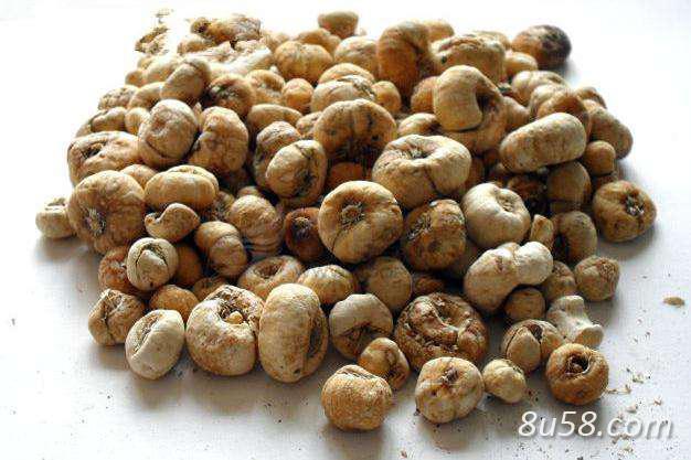 20吨伊贝母 16年 17年 统货贝母，农家出售，库存 量大，品质上佳，价格公道